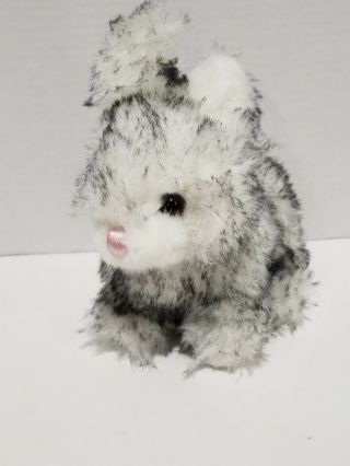 Dan Dee Bunny Rabbit Easter Spring Gray Plush Stuffed Animal Toy Gift 8 Inch